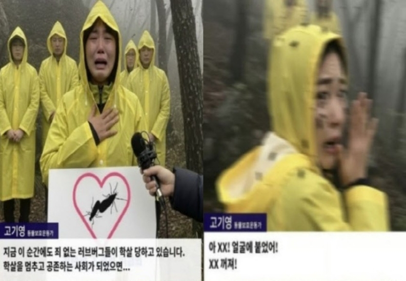 사진=커뮤니티 캡처