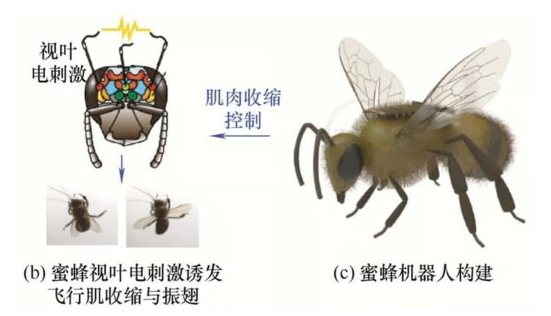 사진=홍콩사우스차이나모닝포스트