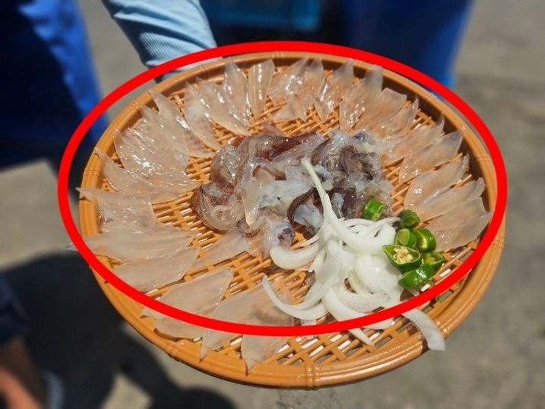 사진=속초시청 게시판