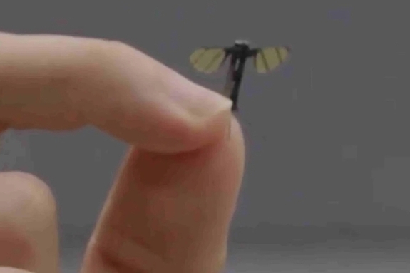 영화가 현실로…中 ‘모기 드론’ 개발, AI 군집 전투까지 노린다