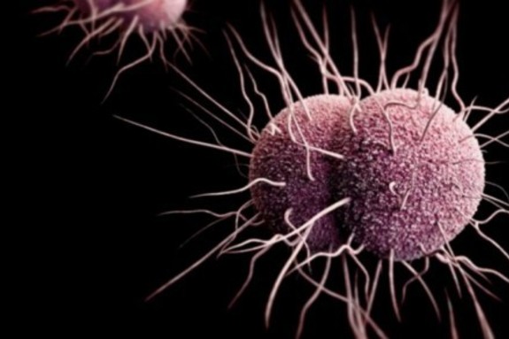 사이언스 2025년 10대 과학기술 혁신 중국 연구 성과 대거 포함[산업 트랜드94]