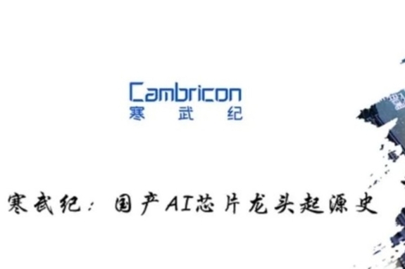 캠브리콘 AI 칩으로 본 중국 반도체 자립의 현실 단계[기업 리서치 66]