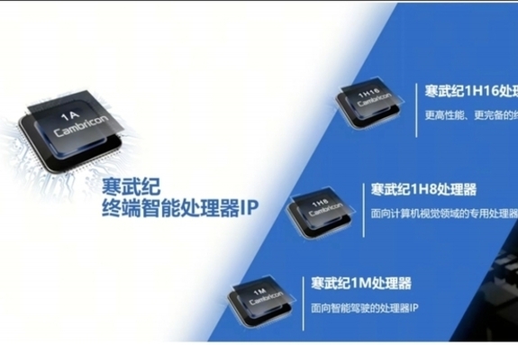 캠브리콘 허위 정보 유포 부인 시장 혼선 차단