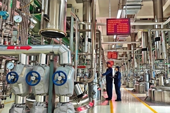 중국 중약 산업 전면 재편, 2030년 고도화 로드맵 가동