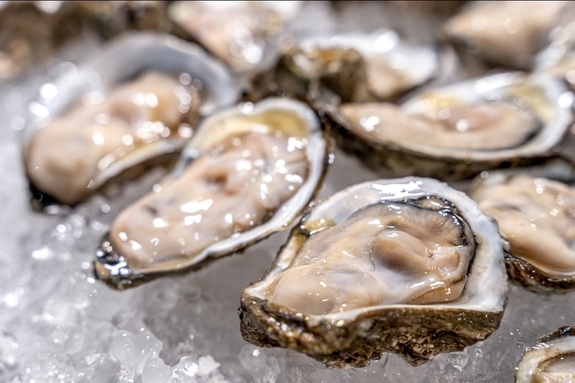 한국 굴에 무슨 일이…홍콩 전면 차단에 식탁 비상
