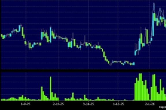 [마켓워치]중국내 선물시장 다수 품목 상한가