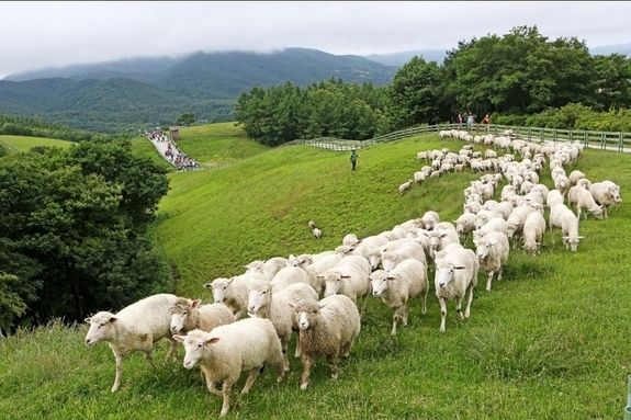 여기 가면 여행비 절반 돌려준다…정부가 찍은 ‘반값 여행’ 16곳