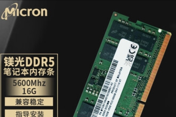 한 입 먹고 가격 폭락…하루 10만 원 빠진 메모리