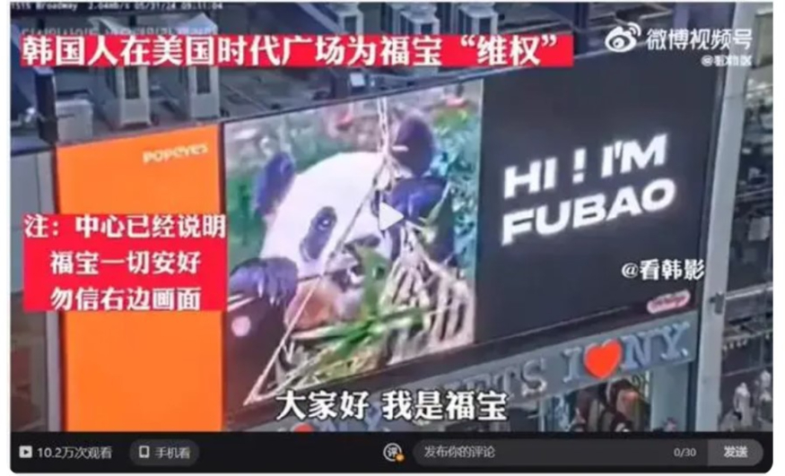 미국 뉴욕 타임스퀘어에 올라온 푸바오 영상. 펑파이신문 캡처. 화면 캡처 2024-06-08 231111.jpg