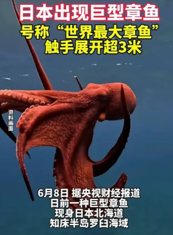 중국 매체 캡처. 화면 캡처 2024-06-09 225124.jpg