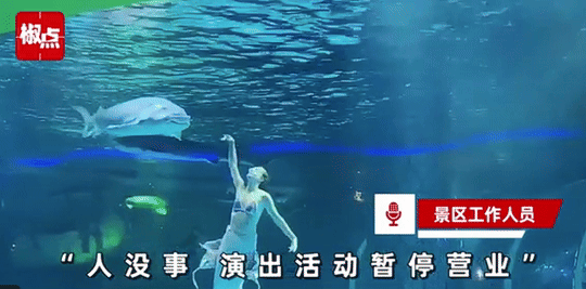 사진=지무뉴스 1000014965.gif