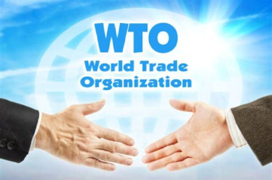 사진=WTO 1000018967.jpg